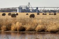 Top Journal Star photos for November