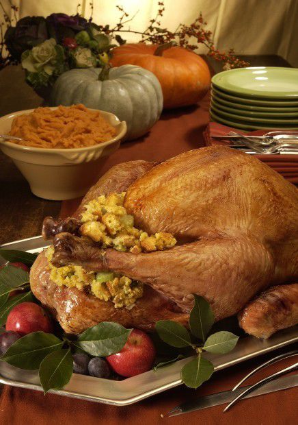 Beware Of Thanksgiving Foods Dangerous To Pets