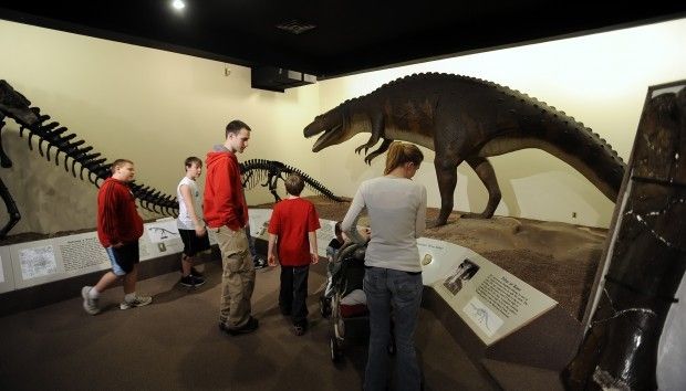 Dinosaurs and Disasters