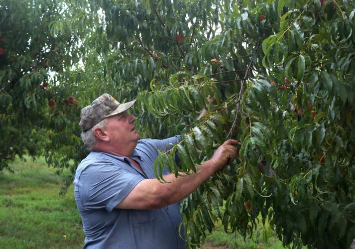 BIZ-FARM-DICAMBA-LAWSUIT-1-SL