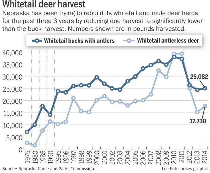 Deer harvest numbers up across state Nebraska News