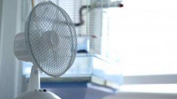Beat The Summer Heat With 5 Fans That Feel Like Air Conditioners National News Journalstar Com