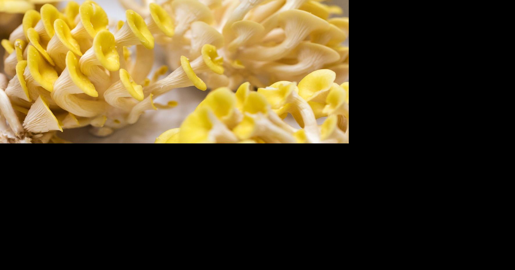 The New York Times makes its annual food predictions for 2022