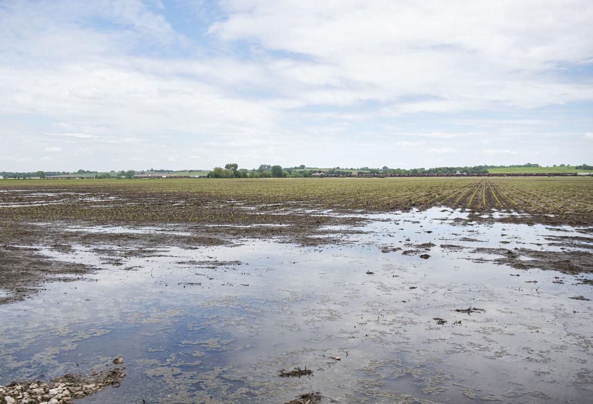 Fields under water, 5.30