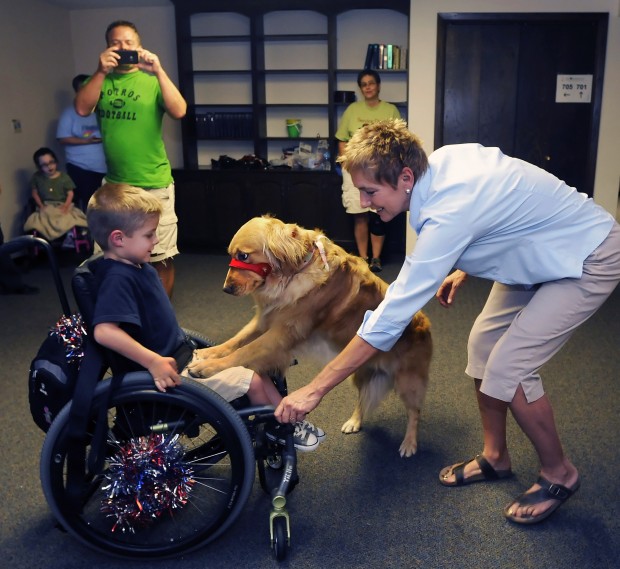 Service Dog Training Lincoln Ne Service Dog Training Lincoln Ne