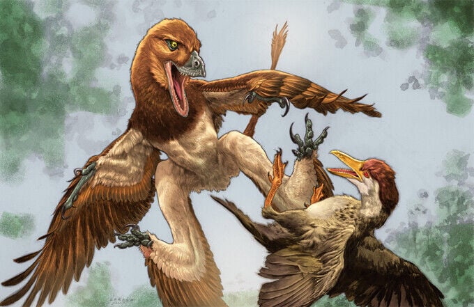 NU State Museum researcher helps identify new feathered dinosaur species