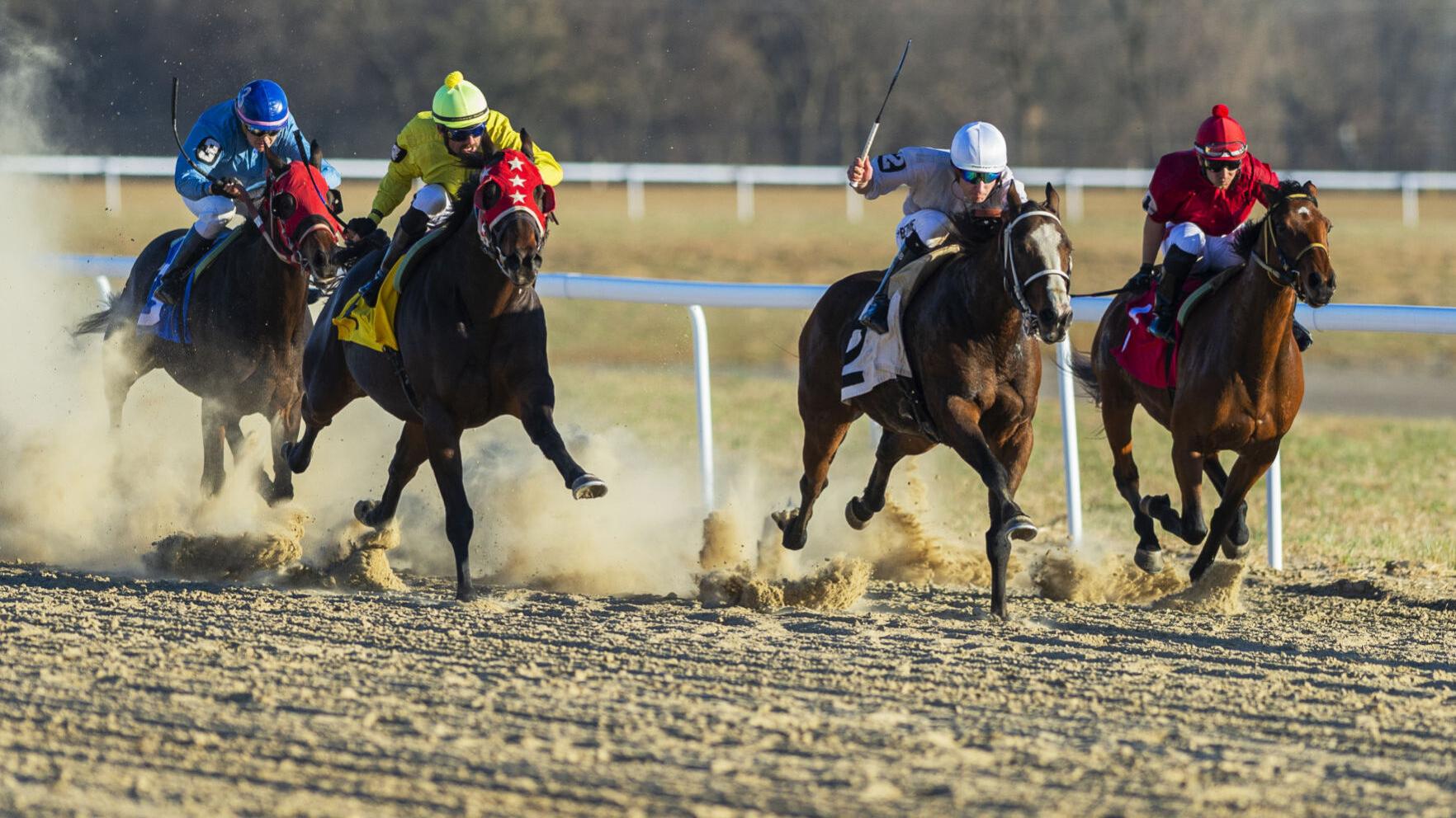 Horse racing gambling sites Horse racing gambling sites