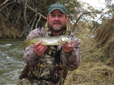 Trout