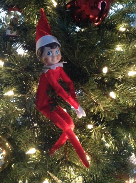 Photos: Great ideas for your Elf on the Shelf | Photo galleries ...