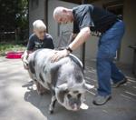 Top Journal Star photos for May