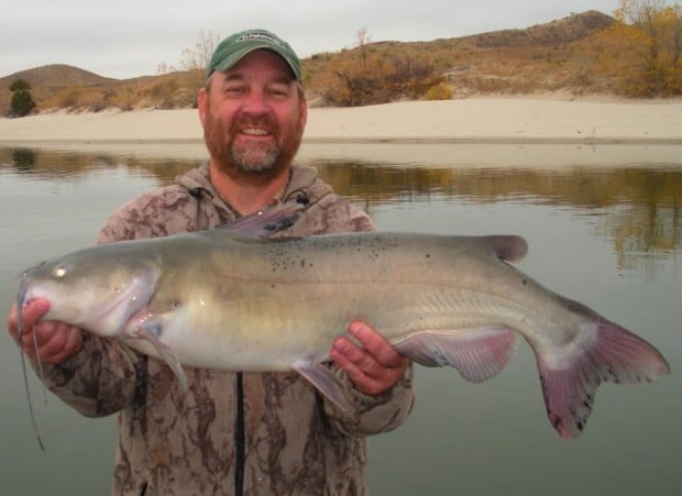 Merritt Reservoir catfish