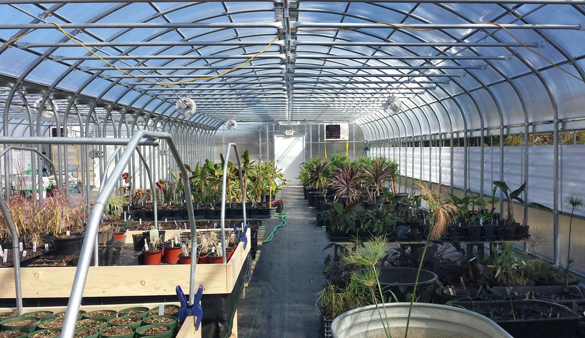 City's new greenhouse storing plants for Centennial Mall Local