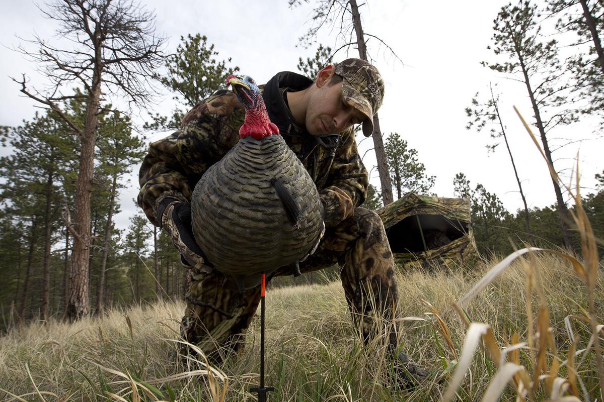 Nebraska has lots of reasons to hunt turkeys this spring