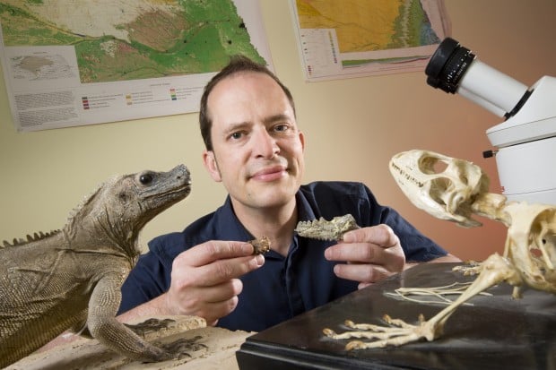 UNL researcher helps discover 'Lizard King'