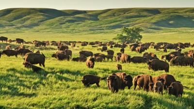 Ted Turner, longtime Nebraska land baron, still buying as next chapter nears