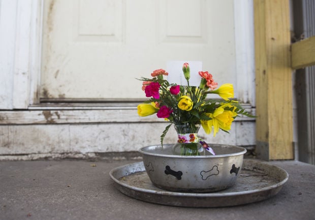 Dog bowl
