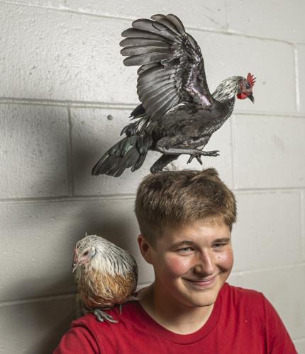 The Chicken Dude