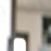 Cindy Lange Kubick Security Cat Keeps Job Despite Failure Local