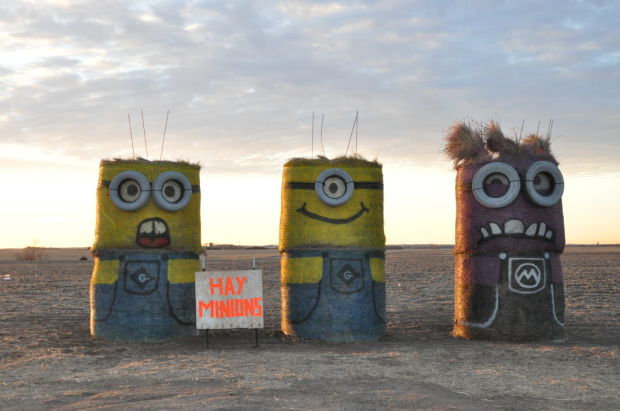 Minions turn heads en route to Beatrice