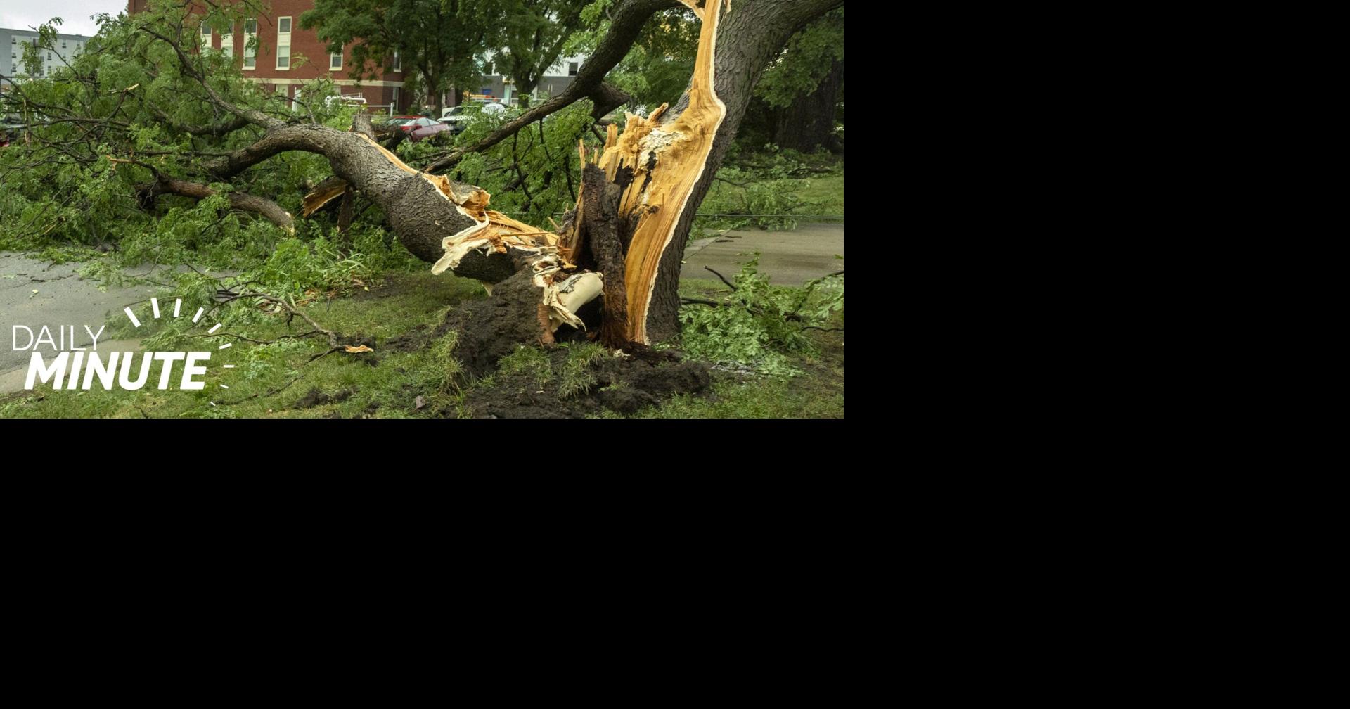 Daily Minute: Lincoln cleans up after storm; senators begin debate Aug. 8; Husker VB picked to win Big Ten