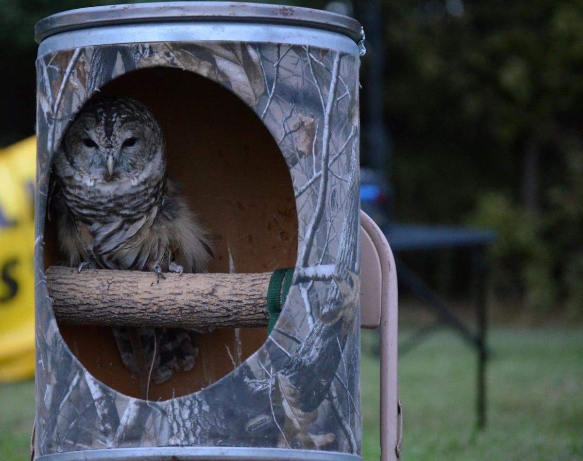 Hoot ‘n’ Howl Fest
