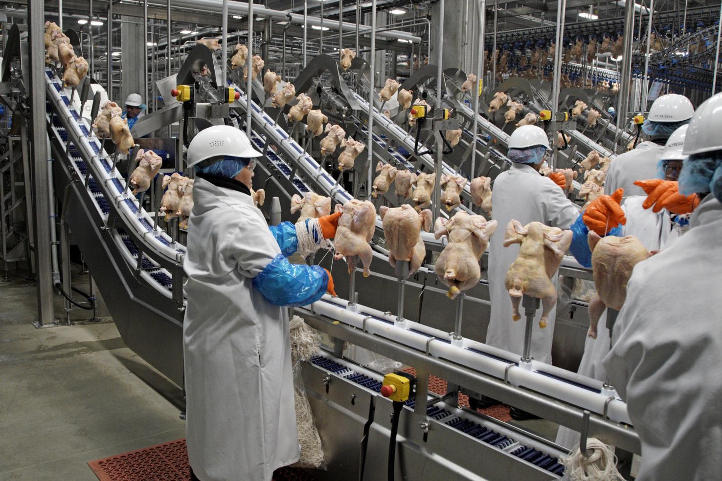 Ag secretary, Ricketts visit Costco chicken processing plant in Fremont