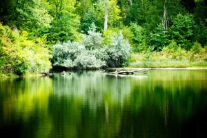 _39A9339-X3.jpg