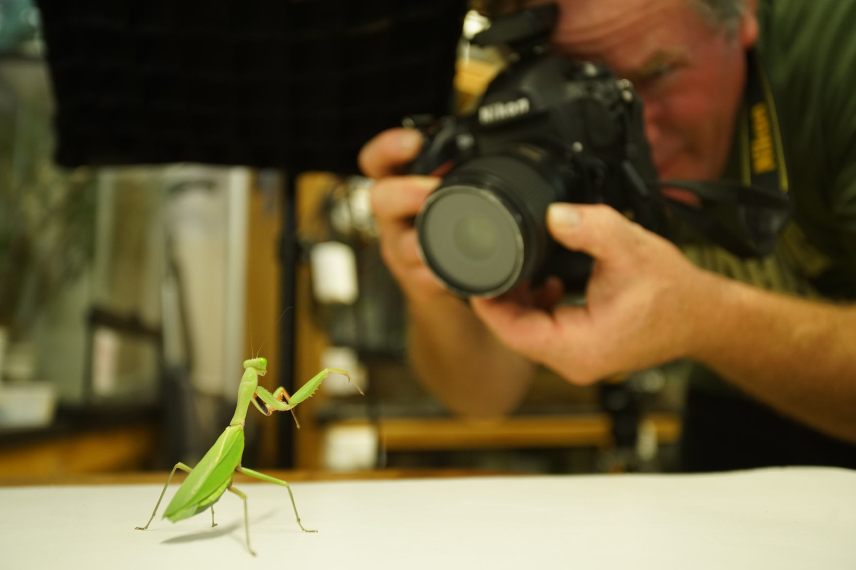 PBS Series Chronicles Joel Sartore's Photo Ark Project | Television And ...