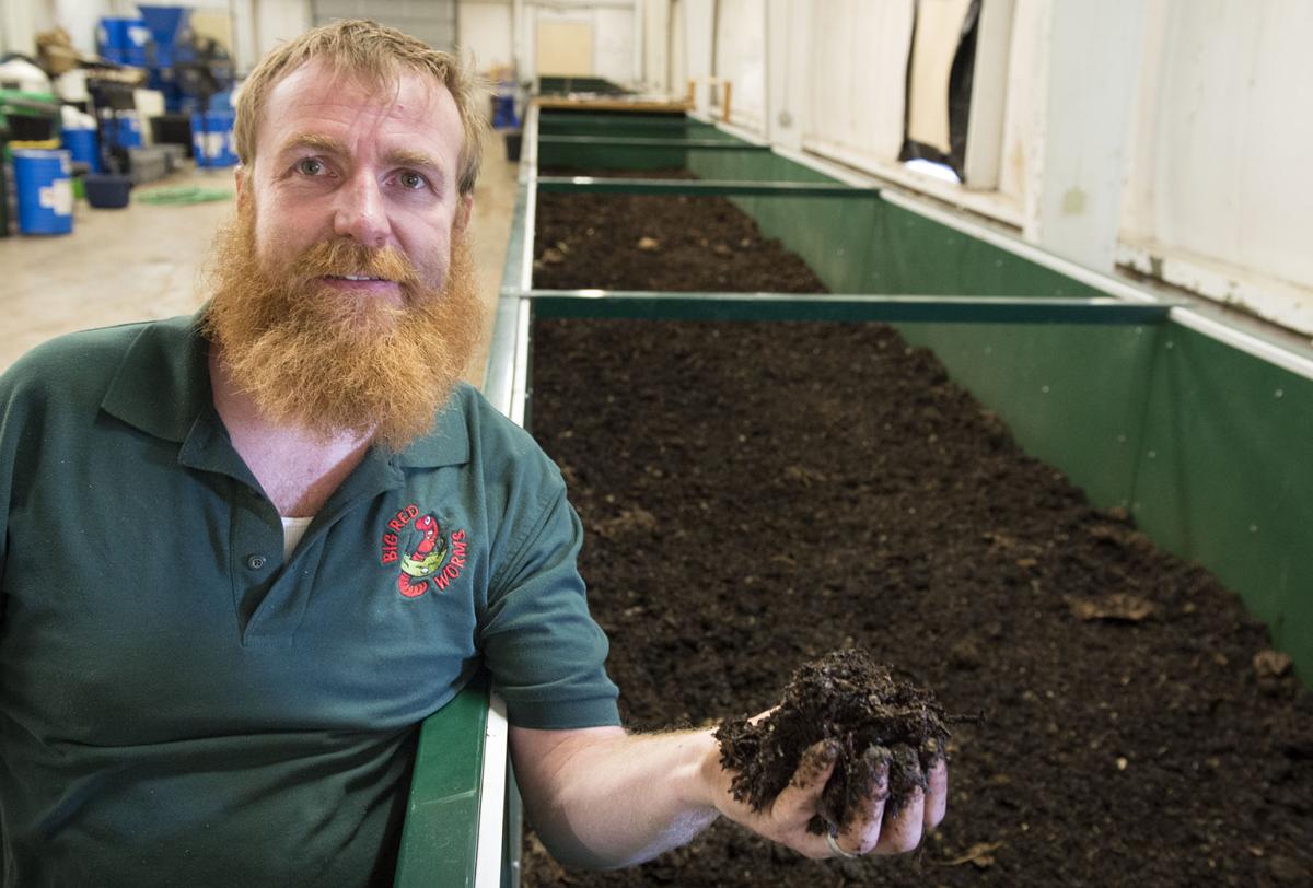 Worm farm turning school waste into compost Local
