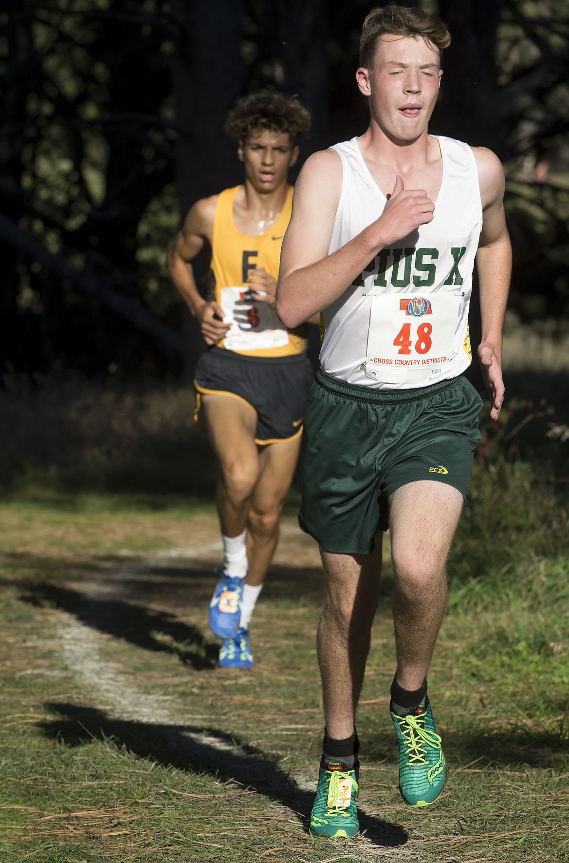 District A-3 Cross Country