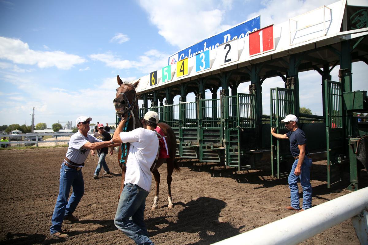 Photos Columbus Horse Races Photo galleries