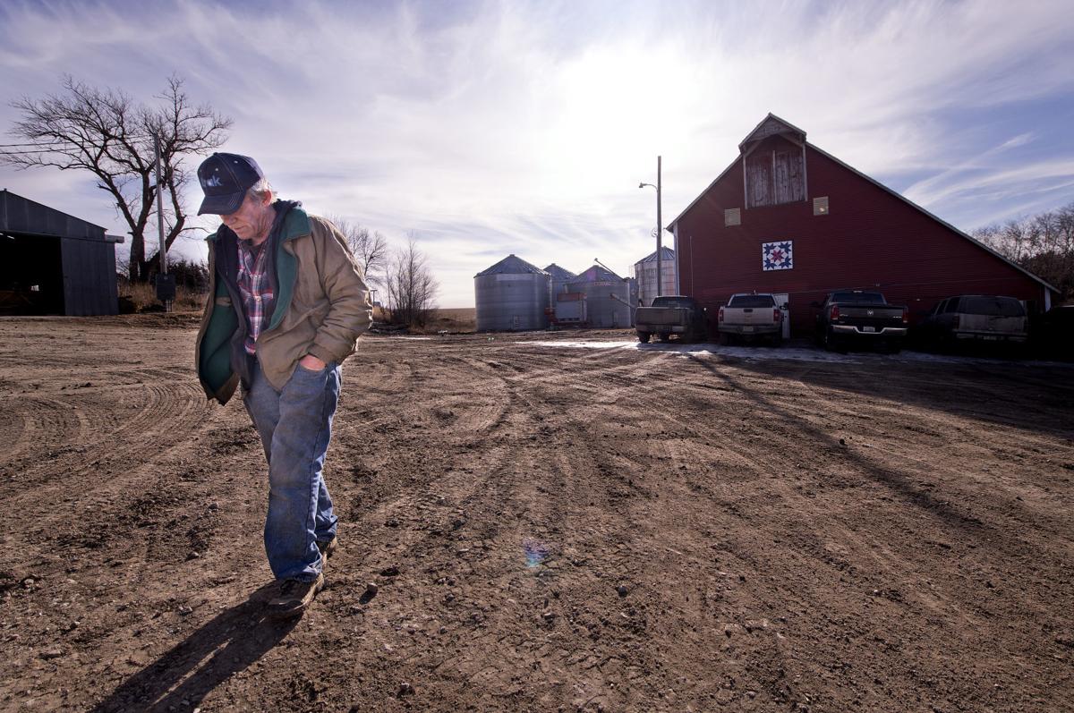 Once A Year, Farmers Go Back To Picking Corn By Hand — For Fun : The Salt :  NPR