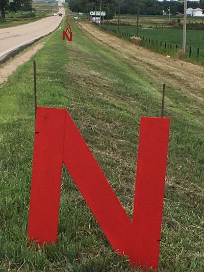 Red Ns