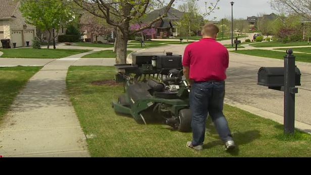 Sarah Browning: Tumble is time to start lawn seeding | Household & Garden