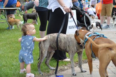 Tails 'n Trails event benefits Capital Humane Society