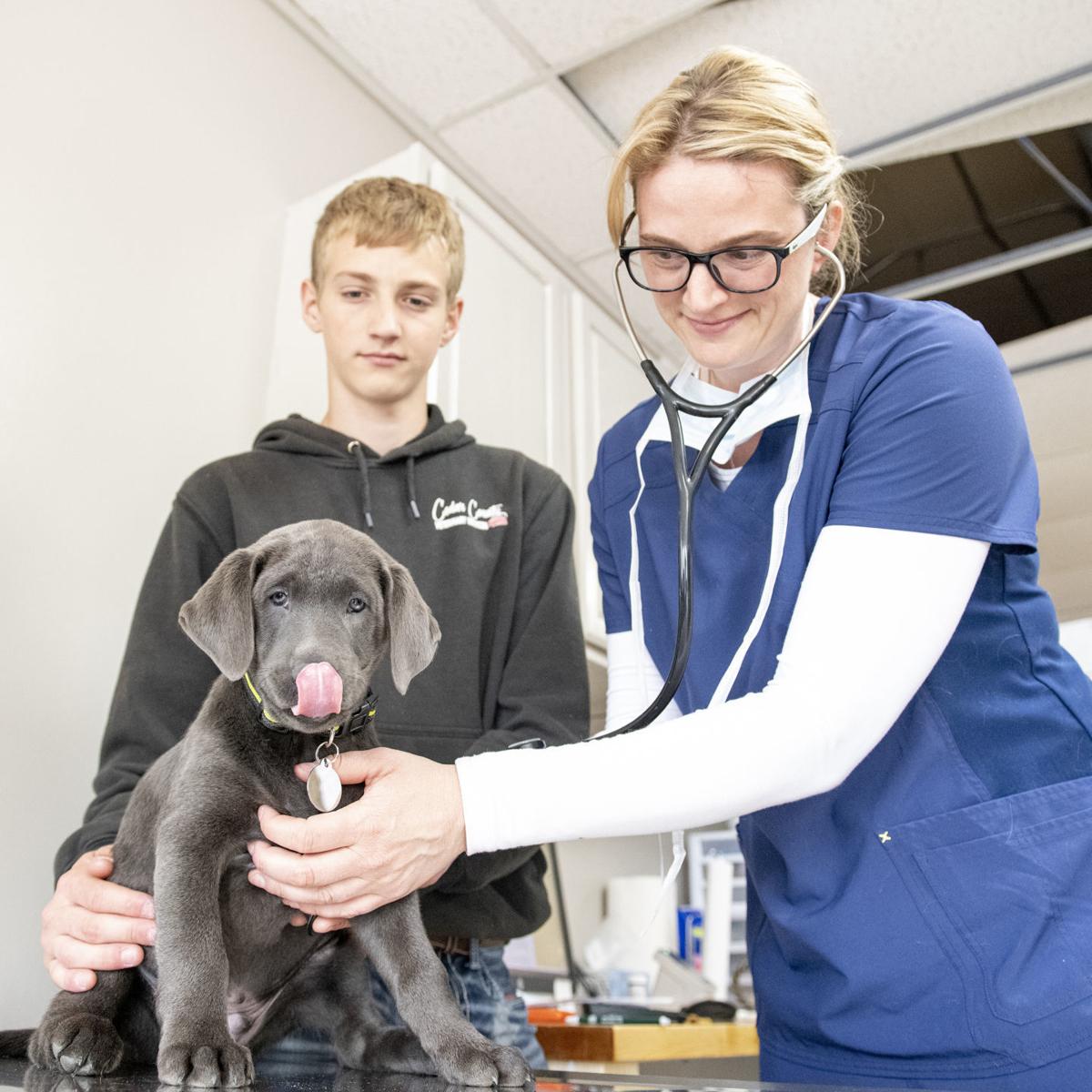 Hartington vets share stories with TV audience