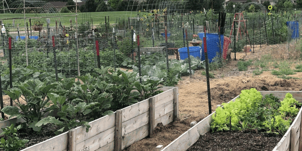 NEP Growing Together Nebraska donation garden