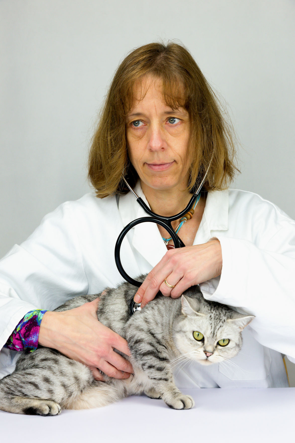 Learn what it's like to be a veterinarian Family