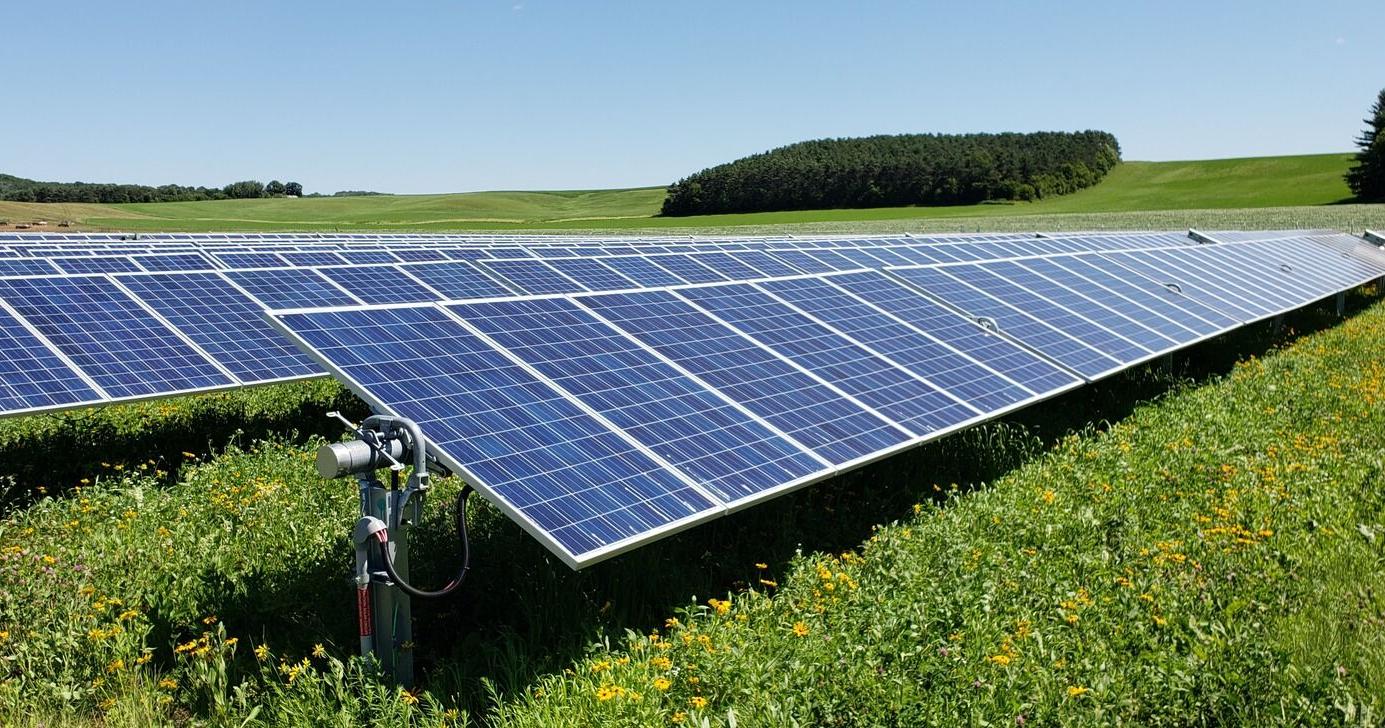 Expanding the benefits of solar energy with plants