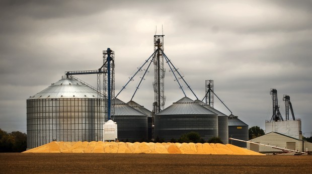 Grain elevator