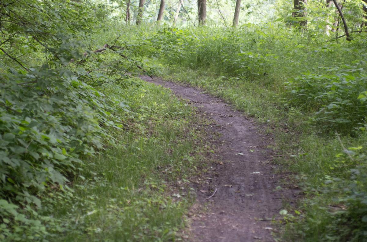 Bike Trail, 6.16
