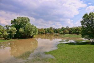 Sarah Browning: Be careful with veggies after flood