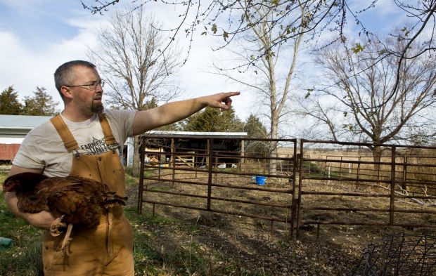 Darby Springs Farm