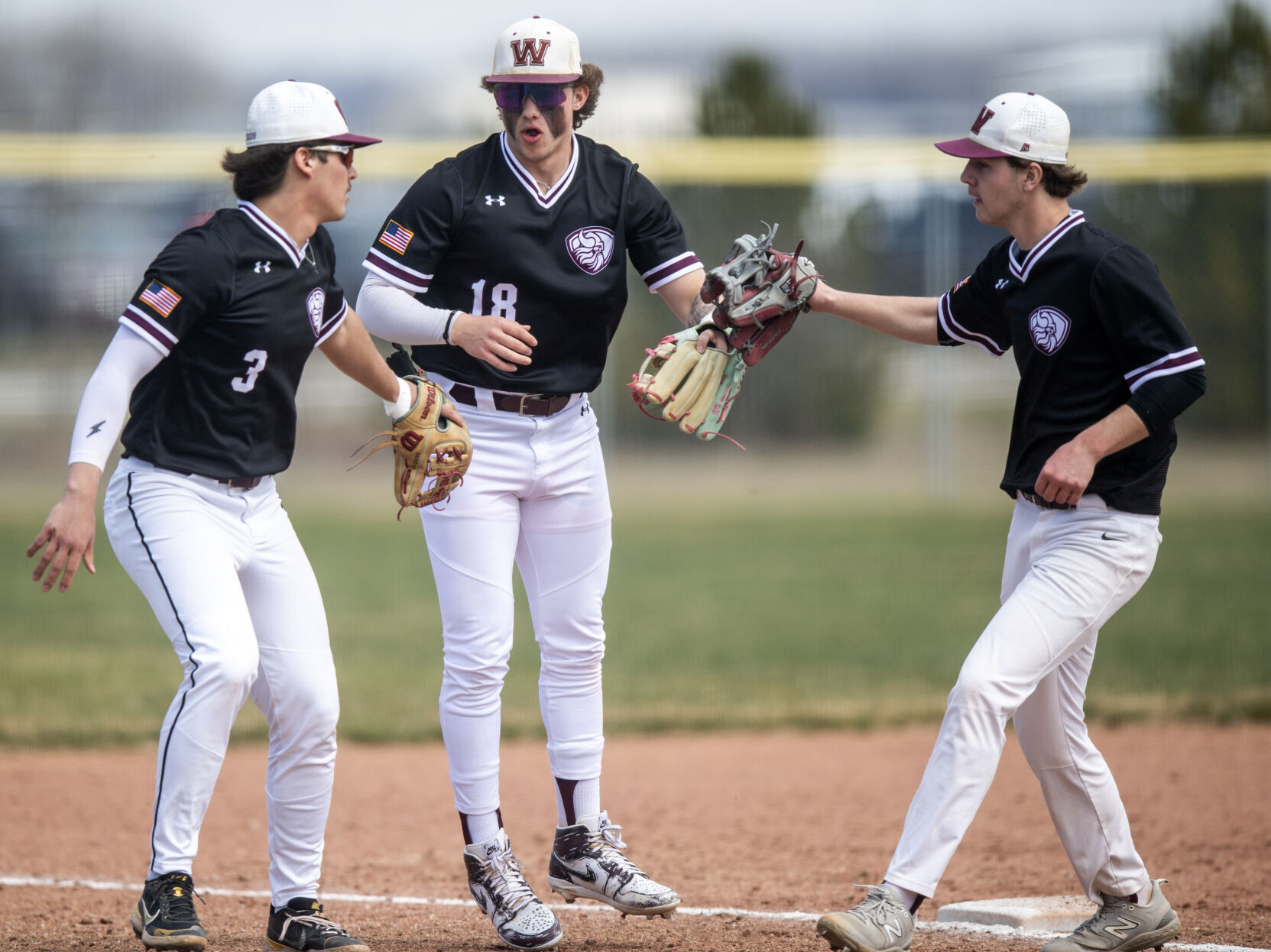 Waverly Vikings clinch dramatic 3-2 win with Koch’s walk-off double