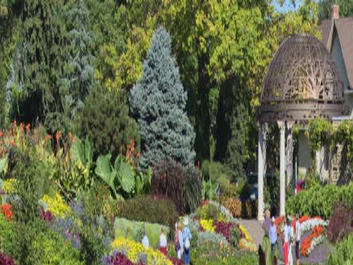 Sunken Gardens Blooming Better Than Ever Home Garden Journalstar Com