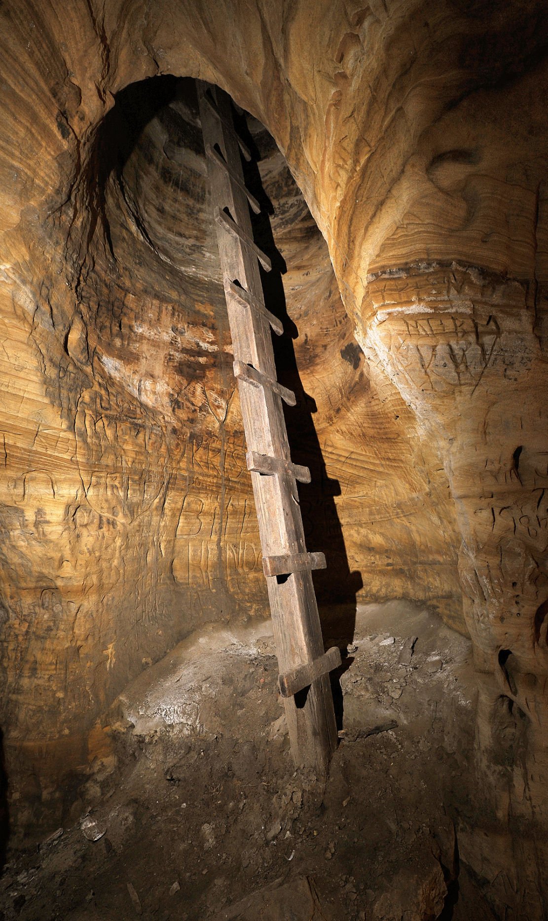 Surprise at Robbers Cave Federally protected bats found at