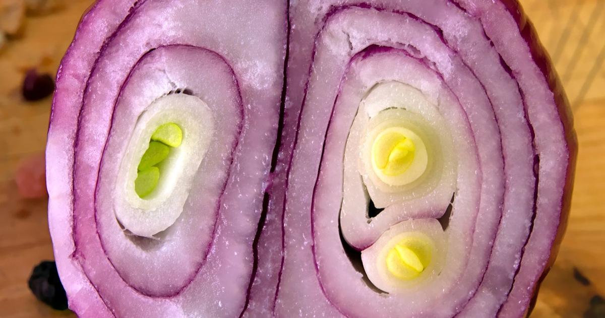 Sarah Browning: Onions are good in kitchen, good in garden | Home & Garden Sarah Browning: Onions are good in kitchen, good in garden | Home & Garden