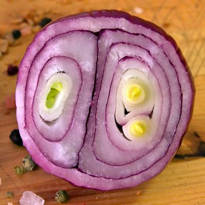 redonion