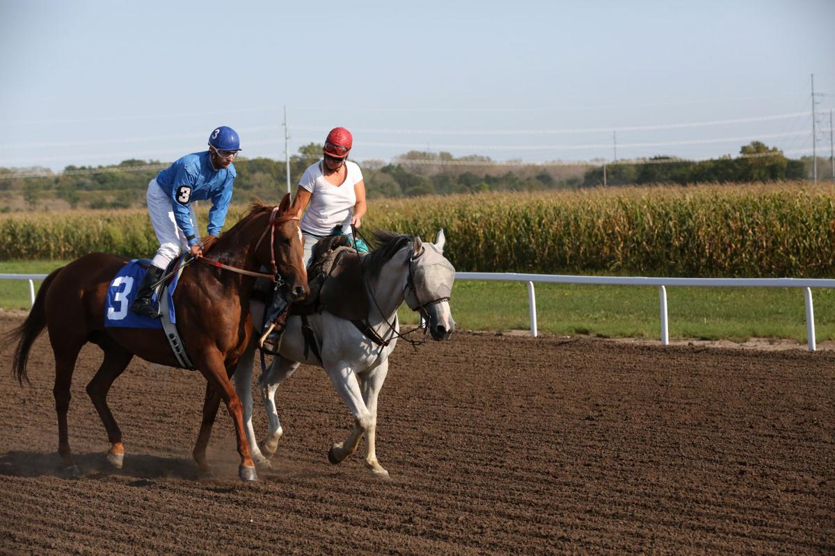 Petition drive would seek casino gaming at Nebraska horse racing tracks