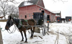 Convenient Amish Proposal